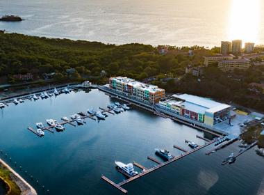 Marina Flamingo
